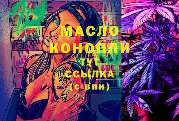 ECSTASY Богородицк