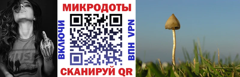 Галлюциногенные грибы мухоморы как найти закладки Чишмы